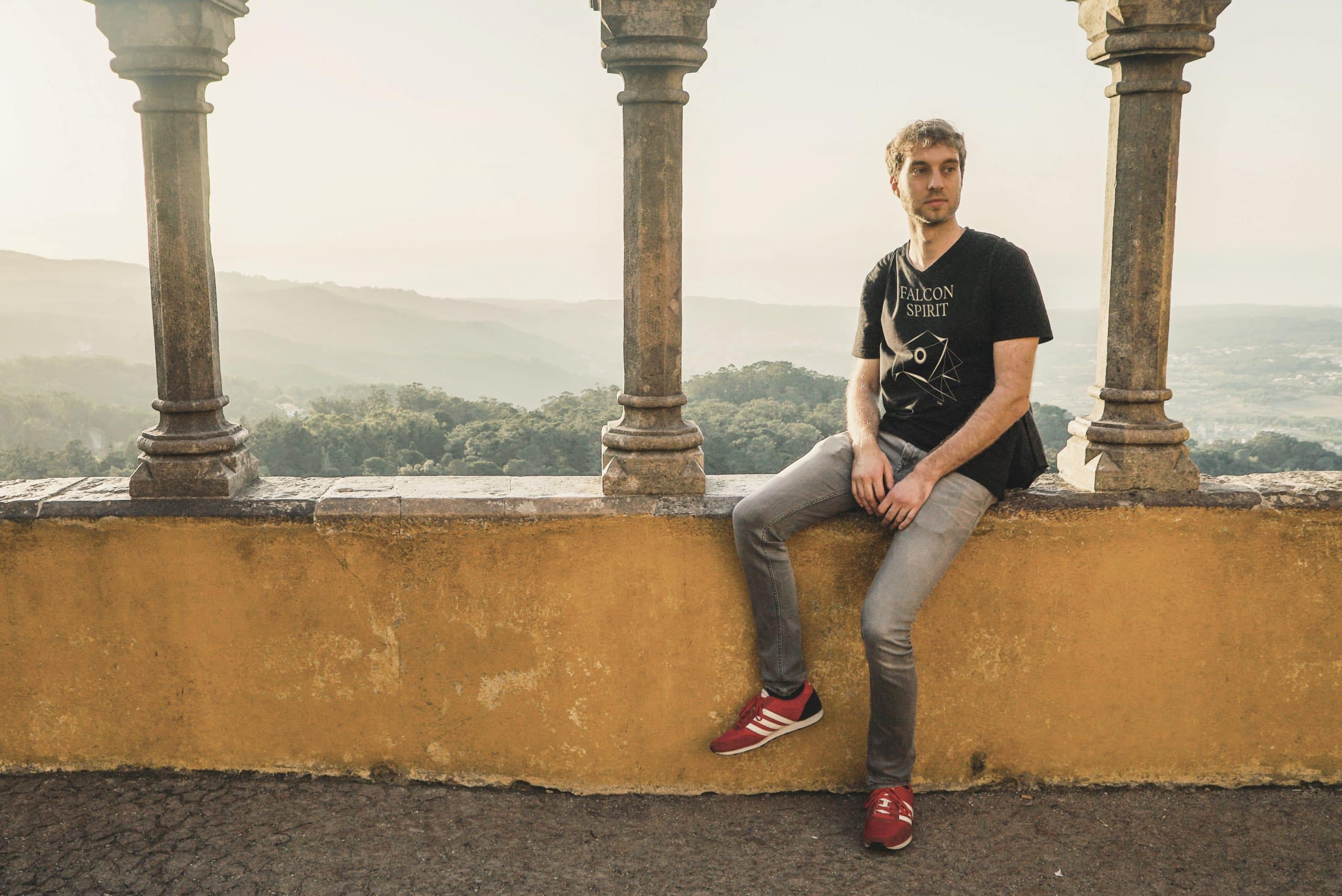 Val Sauvage Falcon Spirit Gold Tencel Tshirt